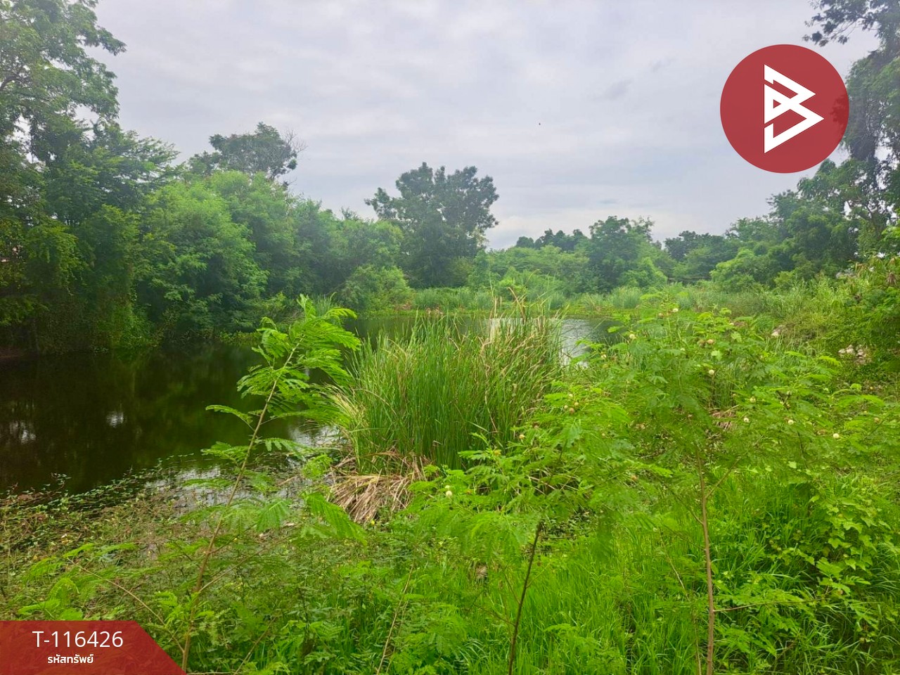 ขายที่ดินเปล่า พร้อมสระน้ำในพื้นที่ เนื้อที่ 2 ไร่ 3 งาน 3.8 ตารางวา อ.ตาคลี นครสวรรค์ 4