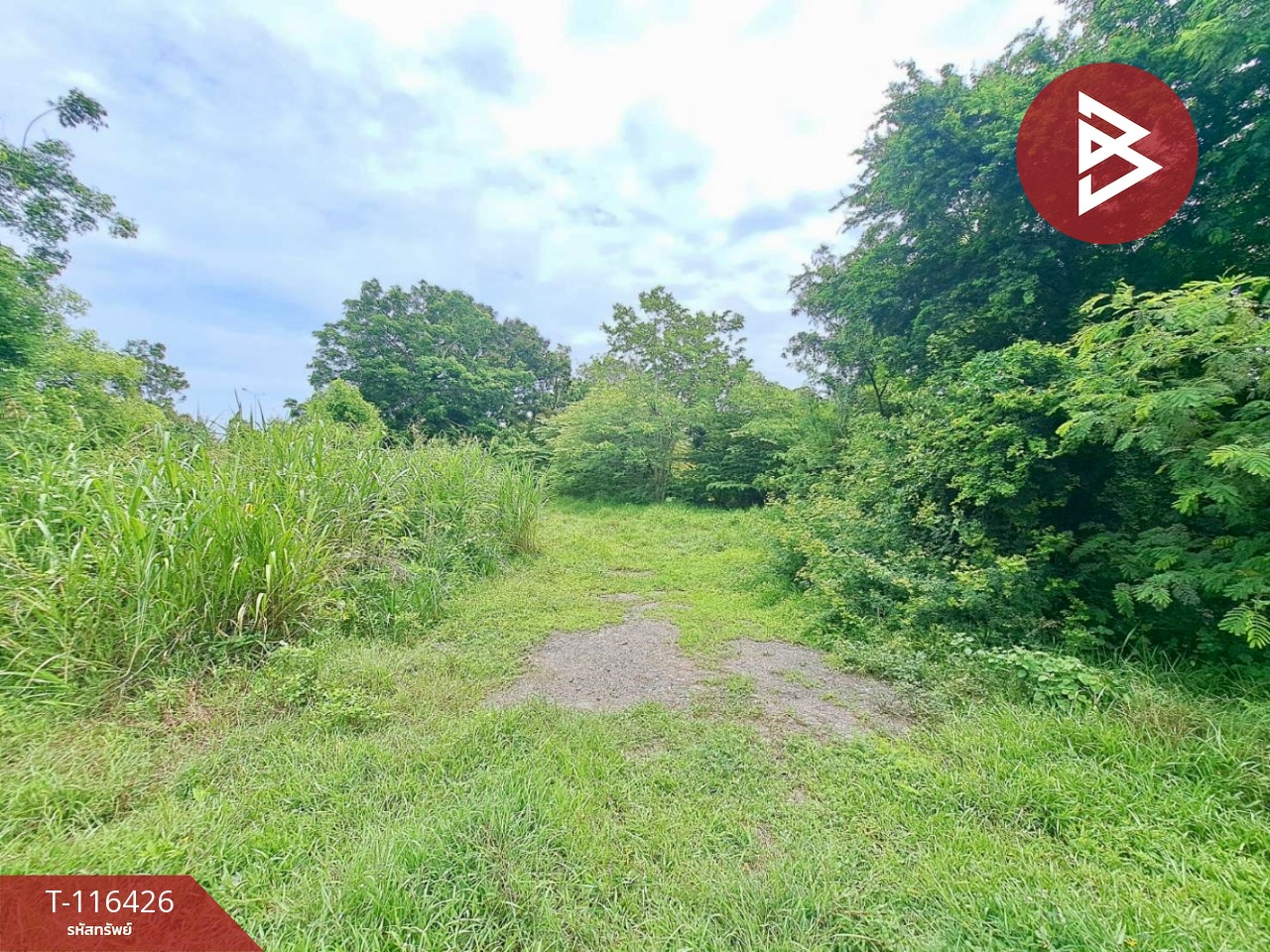 ขายที่ดินเปล่า พร้อมสระน้ำในพื้นที่ เนื้อที่ 2 ไร่ 3 งาน 3.8 ตารางวา อ.ตาคลี นครสวรรค์ 5