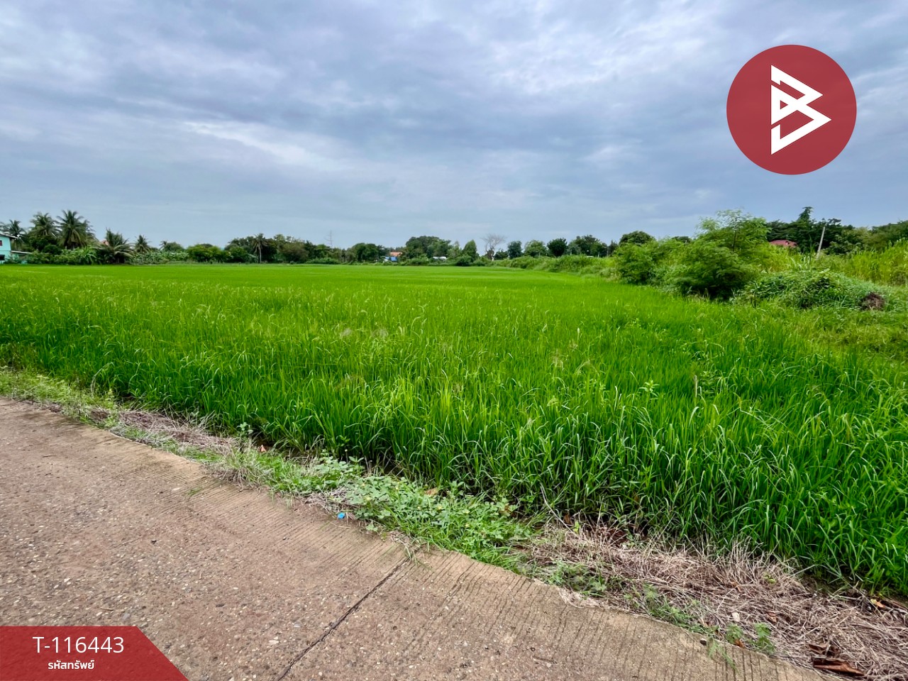 ขายที่ดินเปล่า เนื้อที่ 9 ไร่ 3 งาน 39.2 ตารางวา ต.สร้อยทอง ตาคลี นครสวรรค์ 5