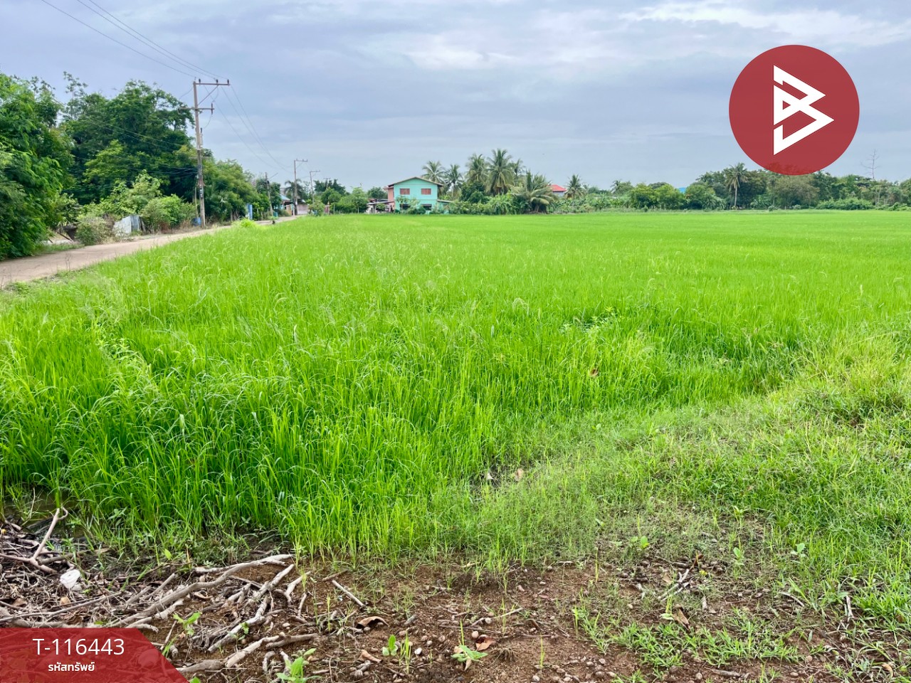 ขายที่ดินเปล่า เนื้อที่ 9 ไร่ 3 งาน 39.2 ตารางวา ต.สร้อยทอง ตาคลี นครสวรรค์ 2