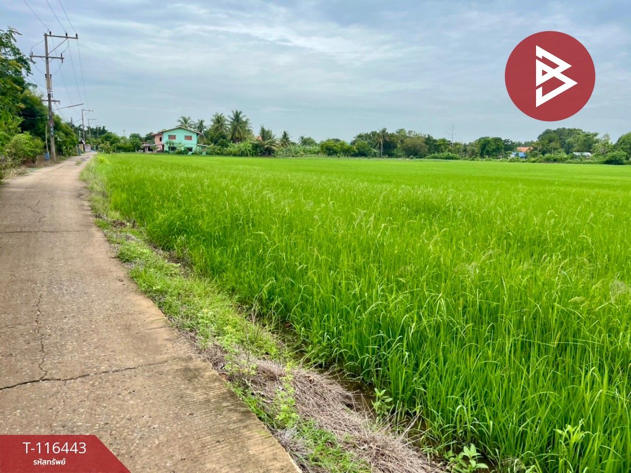 ขายที่ดินเปล่า เนื้อที่ 9 ไร่ 3 งาน 39.2 ตารางวา ต.สร้อยทอง ตาคลี นครสวรรค์ 6