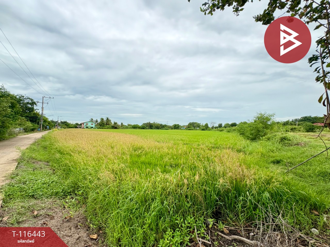 ขายที่ดินเปล่า เนื้อที่ 9 ไร่ 3 งาน 39.2 ตารางวา ต.สร้อยทอง ตาคลี นครสวรรค์ 8