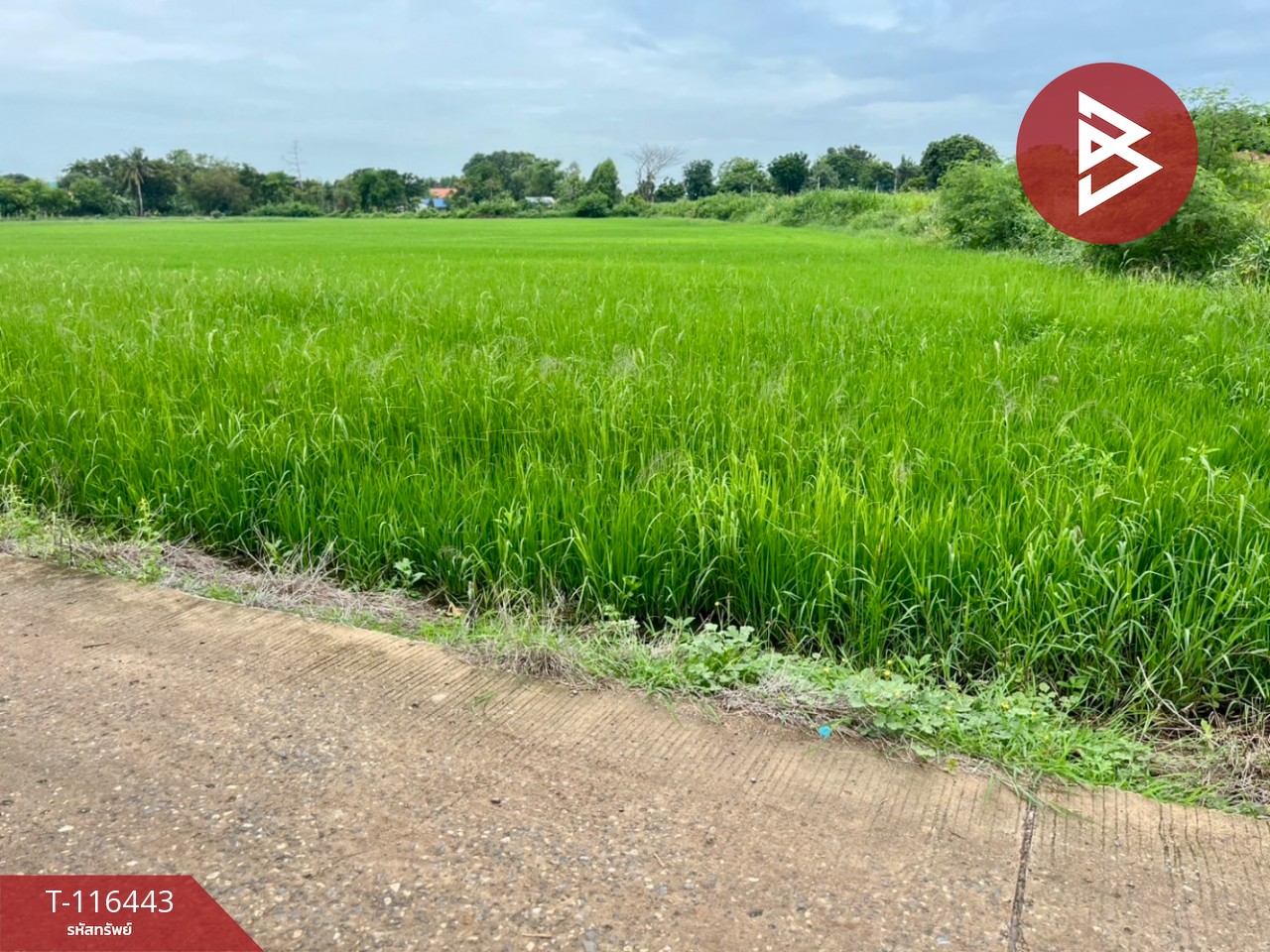 ขายที่ดินเปล่า เนื้อที่ 9 ไร่ 3 งาน 39.2 ตารางวา ต.สร้อยทอง ตาคลี นครสวรรค์ 4