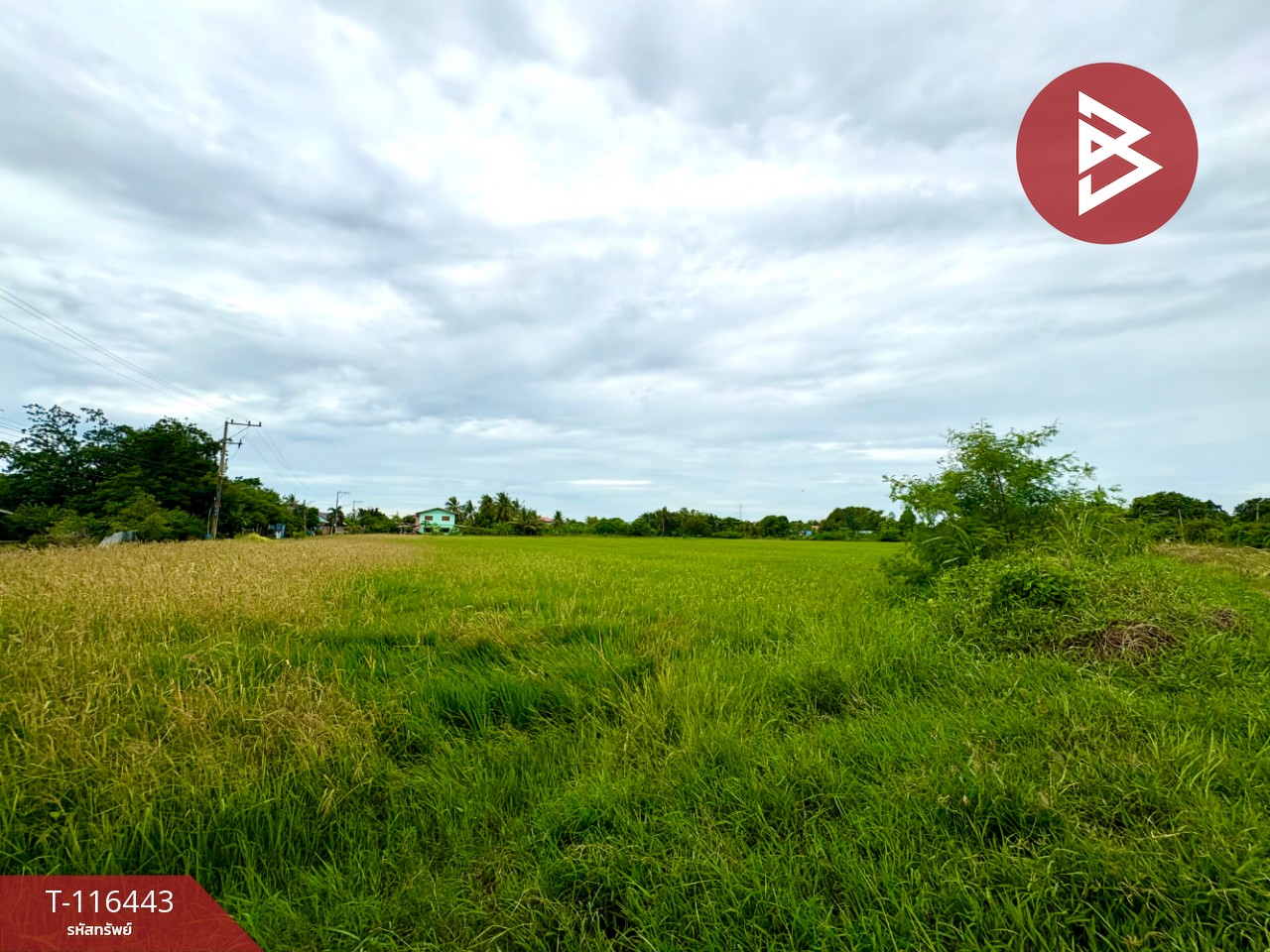 ขายที่ดินเปล่า เนื้อที่ 9 ไร่ 3 งาน 39.2 ตารางวา ต.สร้อยทอง ตาคลี นครสวรรค์ 7