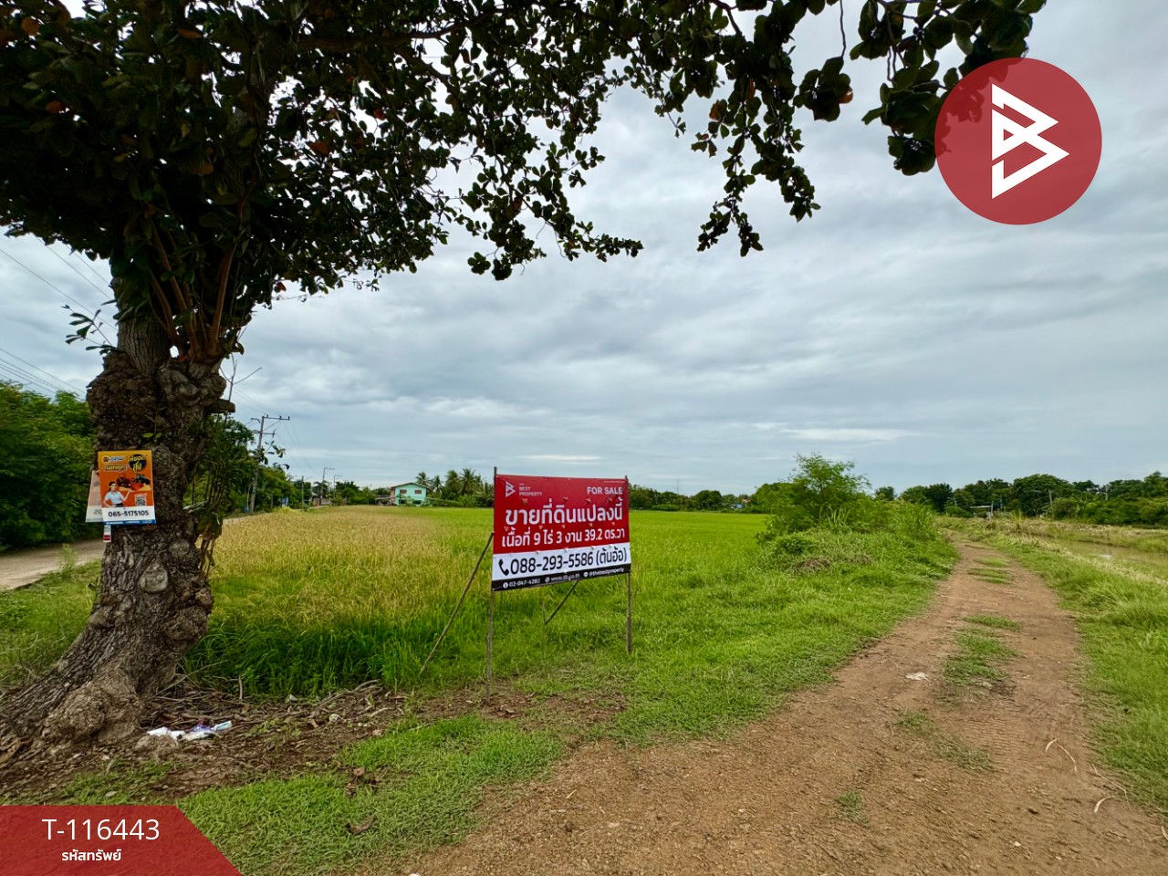 ขายที่ดินเปล่า เนื้อที่ 9 ไร่ 3 งาน 39.2 ตารางวา ต.สร้อยทอง ตาคลี นครสวรรค์ 1