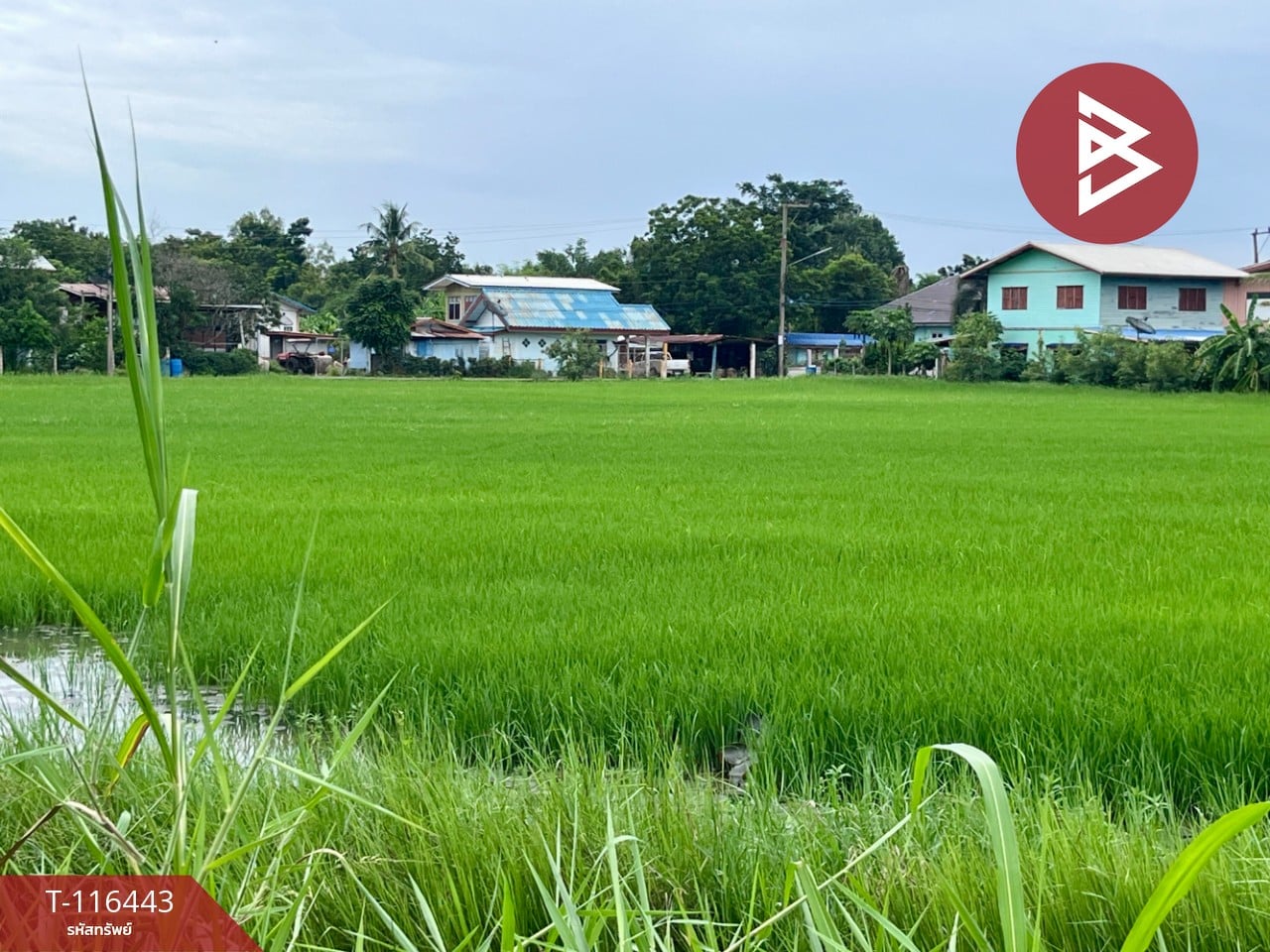 ขายที่ดินเปล่า เนื้อที่ 9 ไร่ 3 งาน 39.2 ตารางวา ต.สร้อยทอง ตาคลี นครสวรรค์ 3