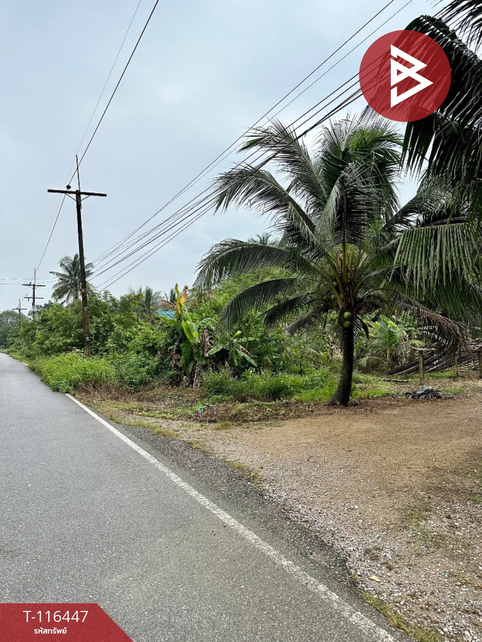 ขายด่วนที่ดินสวนยางพารา 6 ไร่ 39 ตารางวา ต.เขาพระ อ.รัตภูมิ จ.สงขลา 8