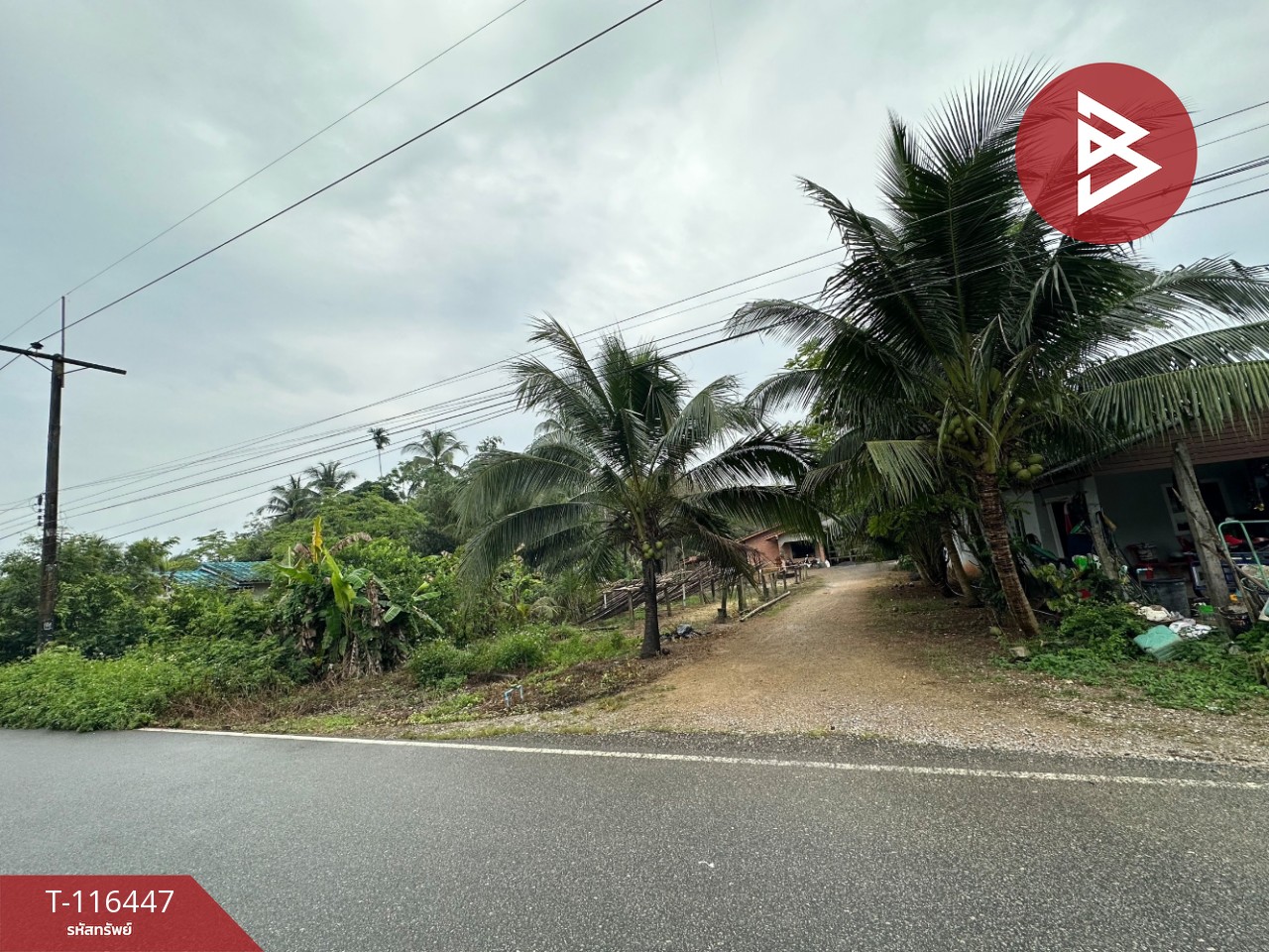 ขายด่วนที่ดินสวนยางพารา 6 ไร่ 39 ตารางวา ต.เขาพระ อ.รัตภูมิ จ.สงขลา 9