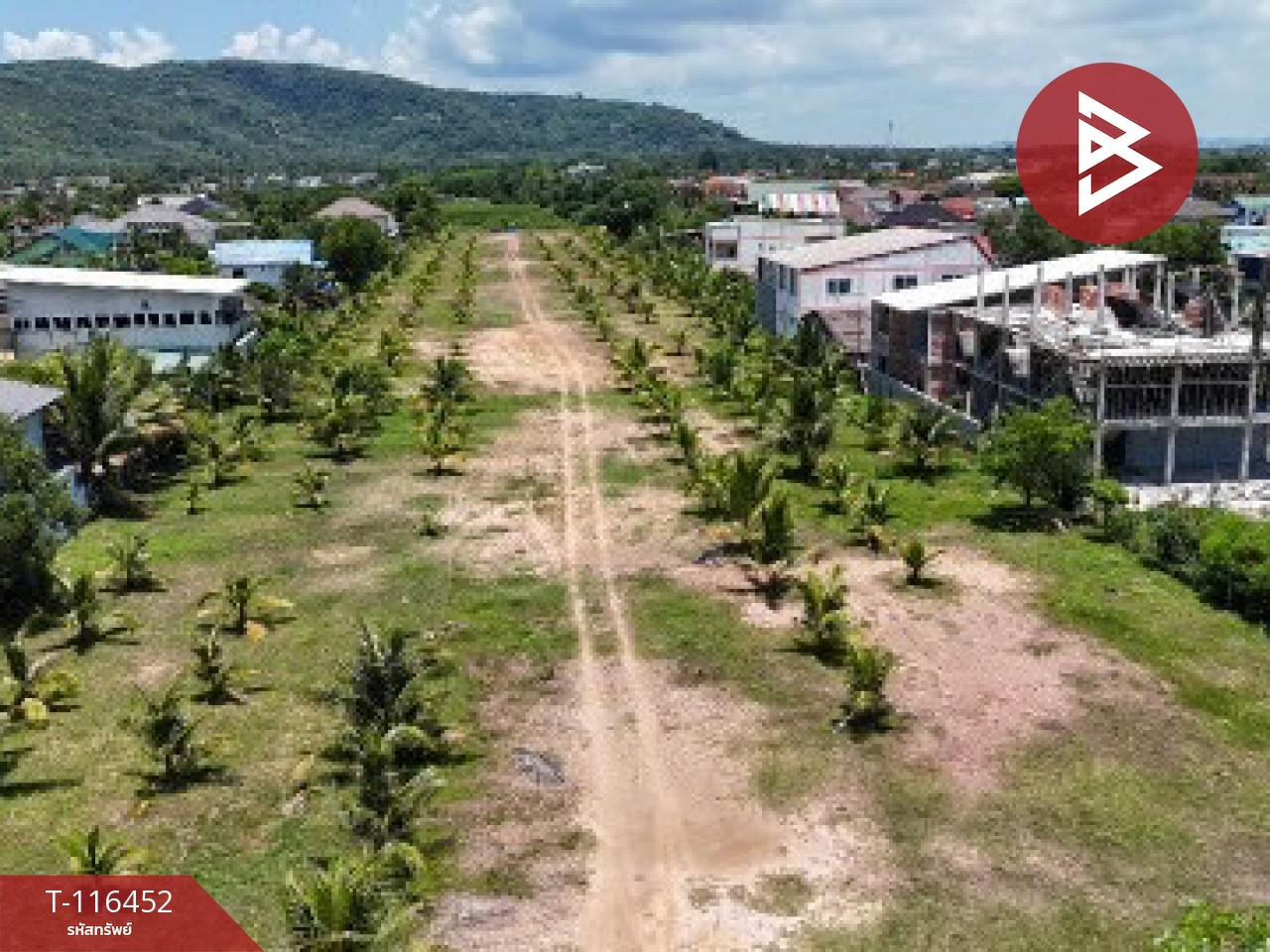 ขายที่ดิน เนื้อที่ 12 ไร่ 1 งาน 2.7 ตร.วา เขารูปช้าง สงขลา 12