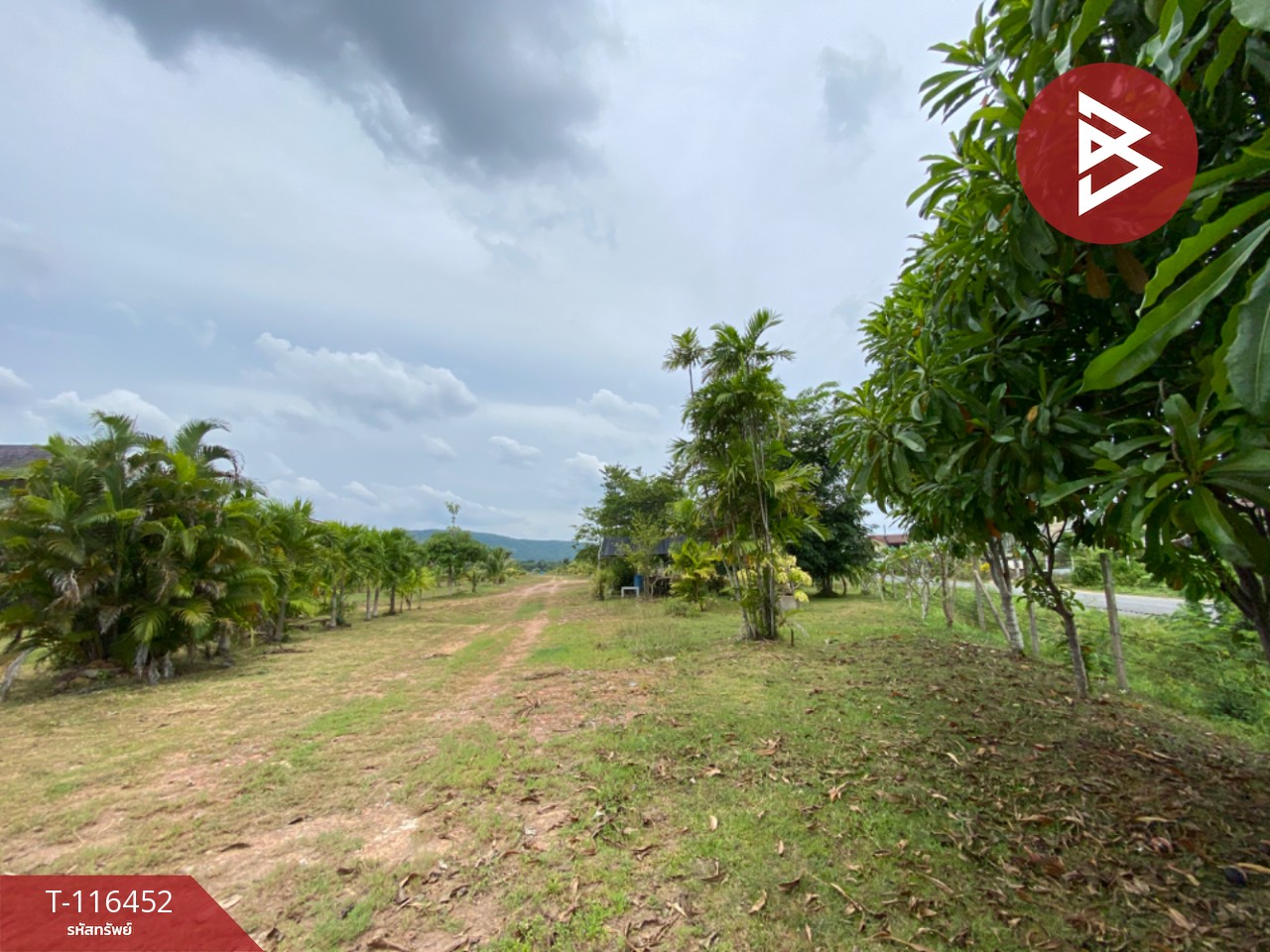 ขายที่ดิน เนื้อที่ 12 ไร่ 1 งาน 2.7 ตร.วา เขารูปช้าง สงขลา 6