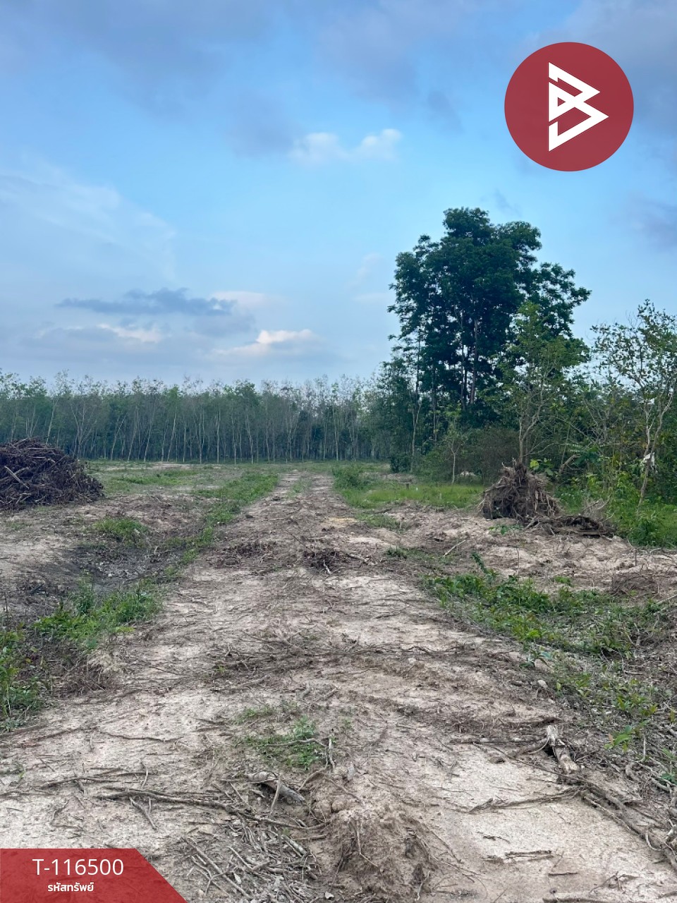 ขายที่ดินเปล่า เนื้อที่ 23 ไร่ 57 ตารางวา ต.เขาพระ อ.รัตภูมิ จ.สงขลา 5