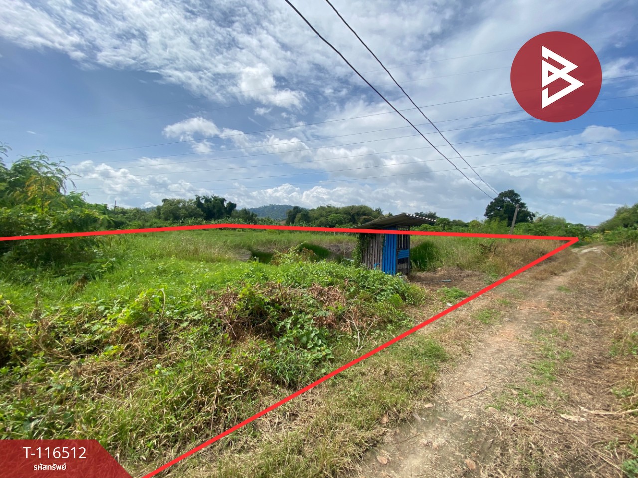 ขายที่ดิน เนื้อที่ 3 งาน 5.3 ตรวา มะขามเตี้ย สุราษฎร์ธานี 13