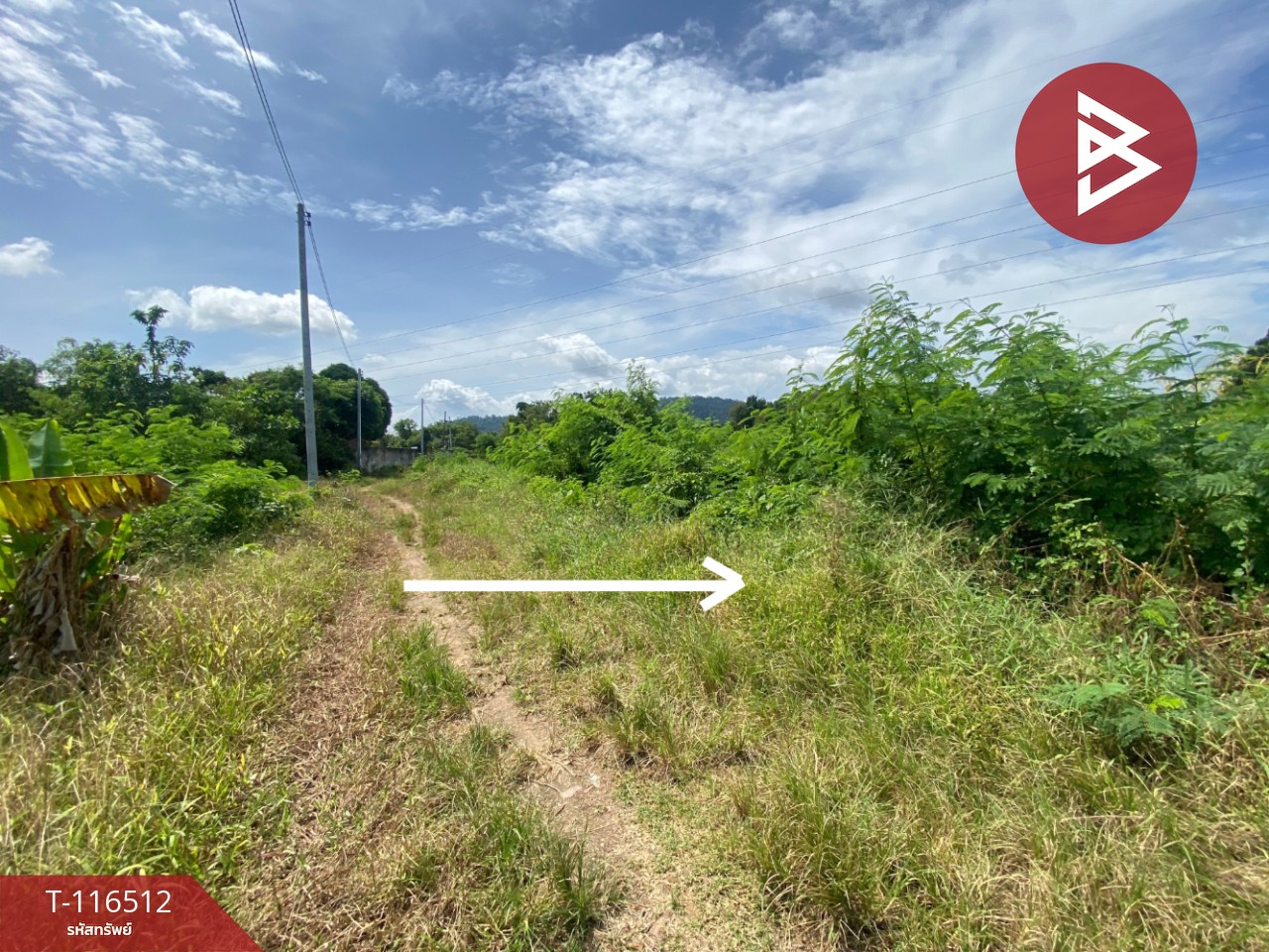 ขายที่ดิน เนื้อที่ 3 งาน 5.3 ตรวา มะขามเตี้ย สุราษฎร์ธานี 9