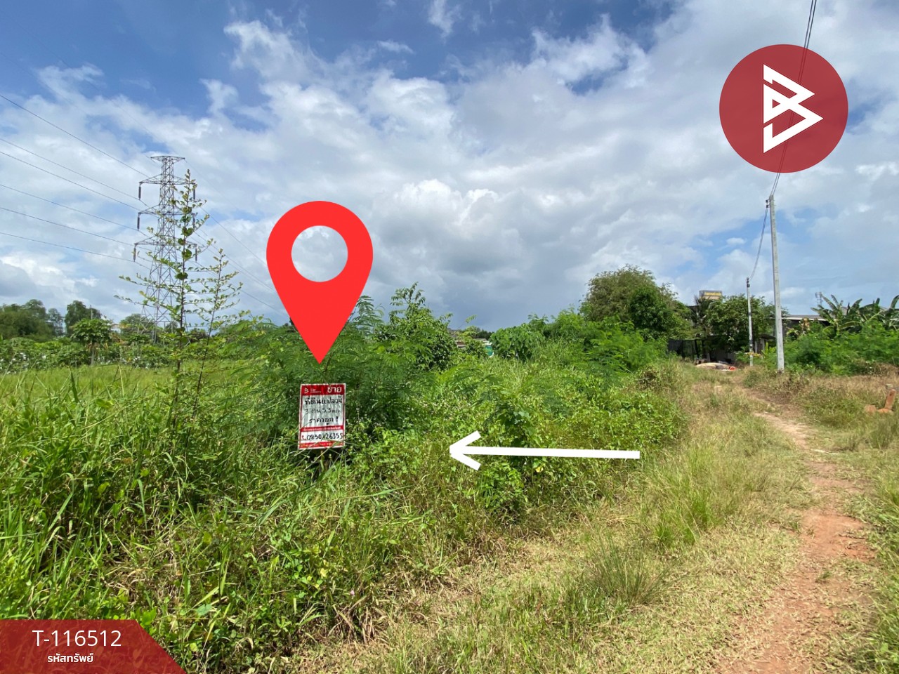 ขายที่ดิน เนื้อที่ 3 งาน 5.3 ตรวา มะขามเตี้ย สุราษฎร์ธานี 8