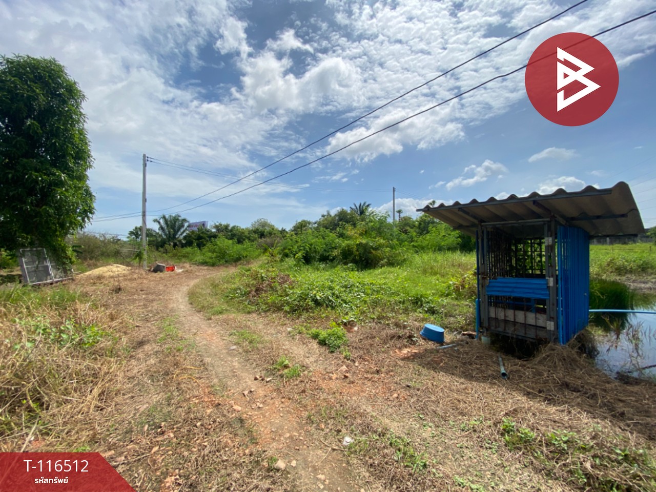 ขายที่ดิน เนื้อที่ 3 งาน 5.3 ตรวา มะขามเตี้ย สุราษฎร์ธานี 12