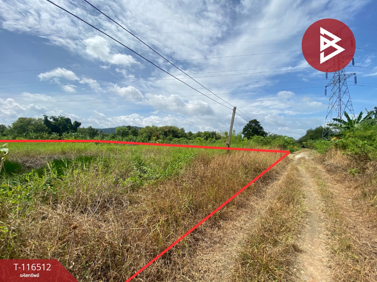 ขายที่ดิน เนื้อที่ 3 งาน 5.3 ตรวา มะขามเตี้ย สุราษฎร์ธานี 14