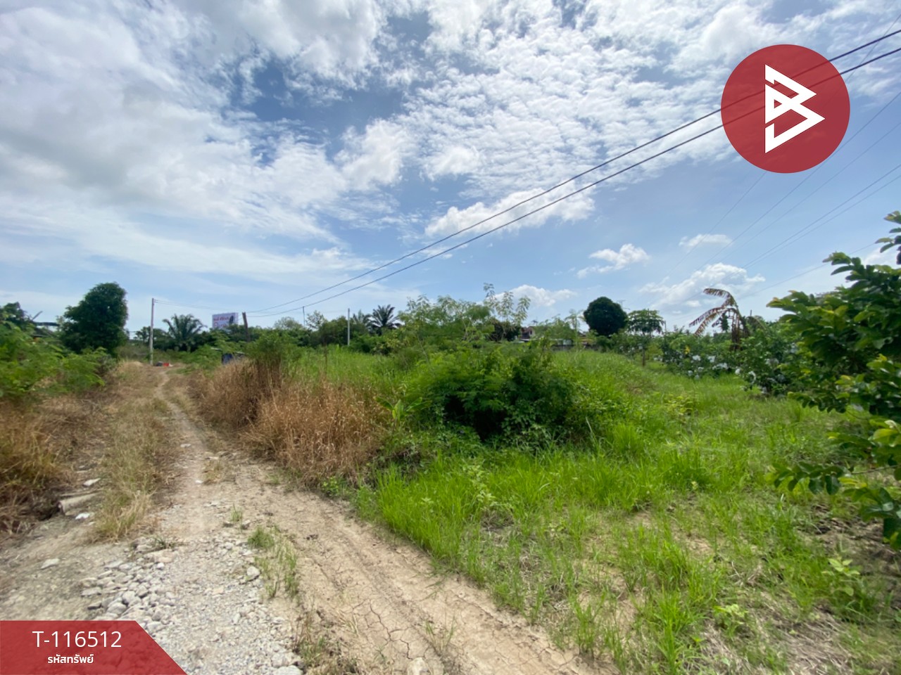 ขายที่ดิน เนื้อที่ 3 งาน 5.3 ตรวา มะขามเตี้ย สุราษฎร์ธานี 15