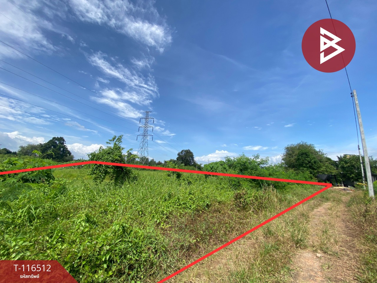 ขายที่ดิน เนื้อที่ 3 งาน 5.3 ตรวา มะขามเตี้ย สุราษฎร์ธานี 10