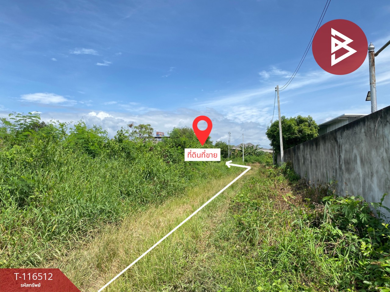 ขายที่ดิน เนื้อที่ 3 งาน 5.3 ตรวา มะขามเตี้ย สุราษฎร์ธานี 7