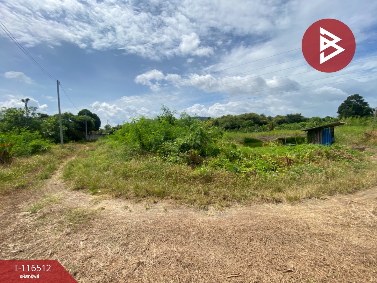 ขายที่ดิน เนื้อที่ 3 งาน 5.3 ตรวา มะขามเตี้ย สุราษฎร์ธานี 11