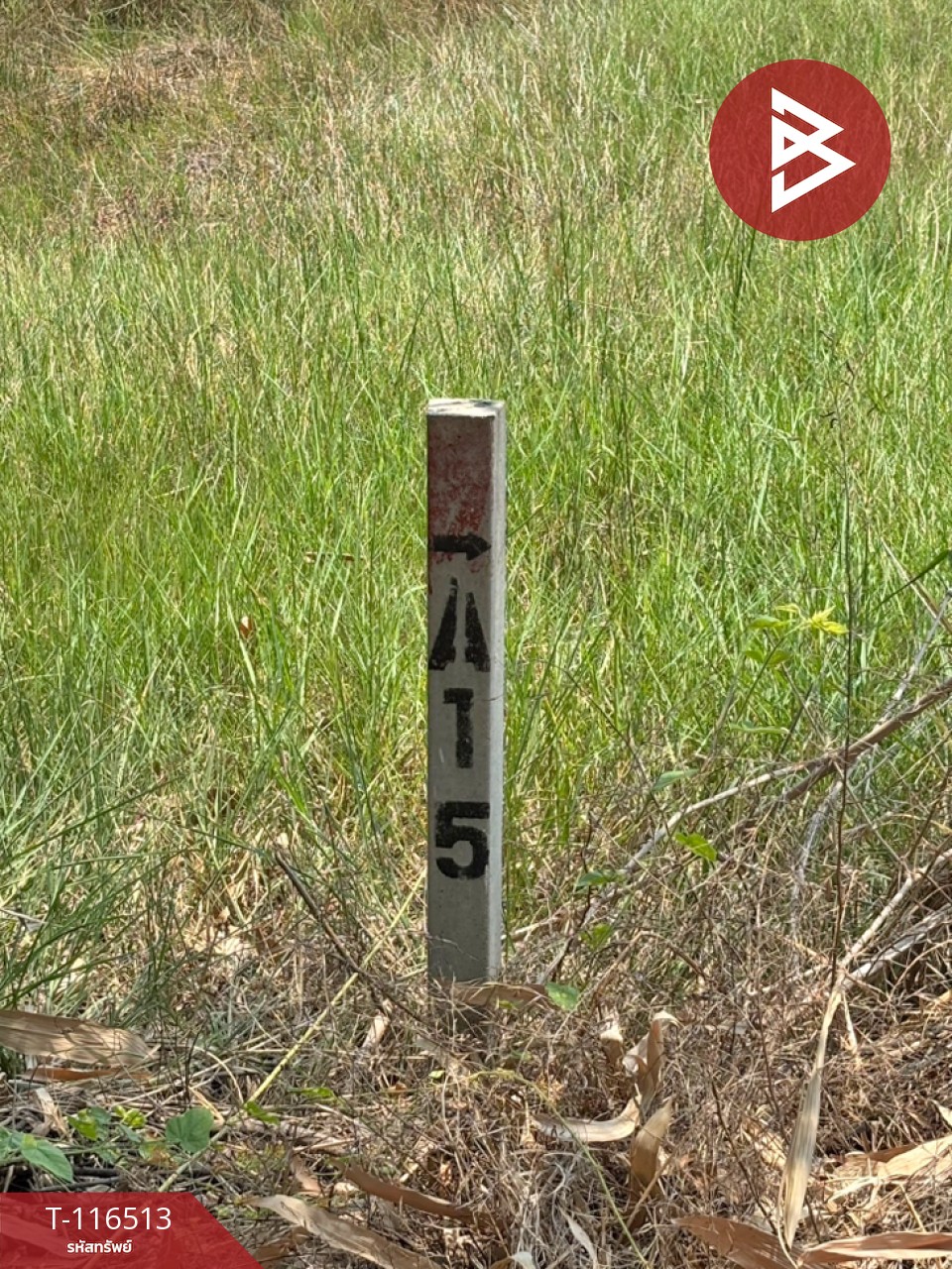 ขายที่ดิน เนื้อที่ 1 งาน 49 ตร.วา วังกระโจม นครนายก 9