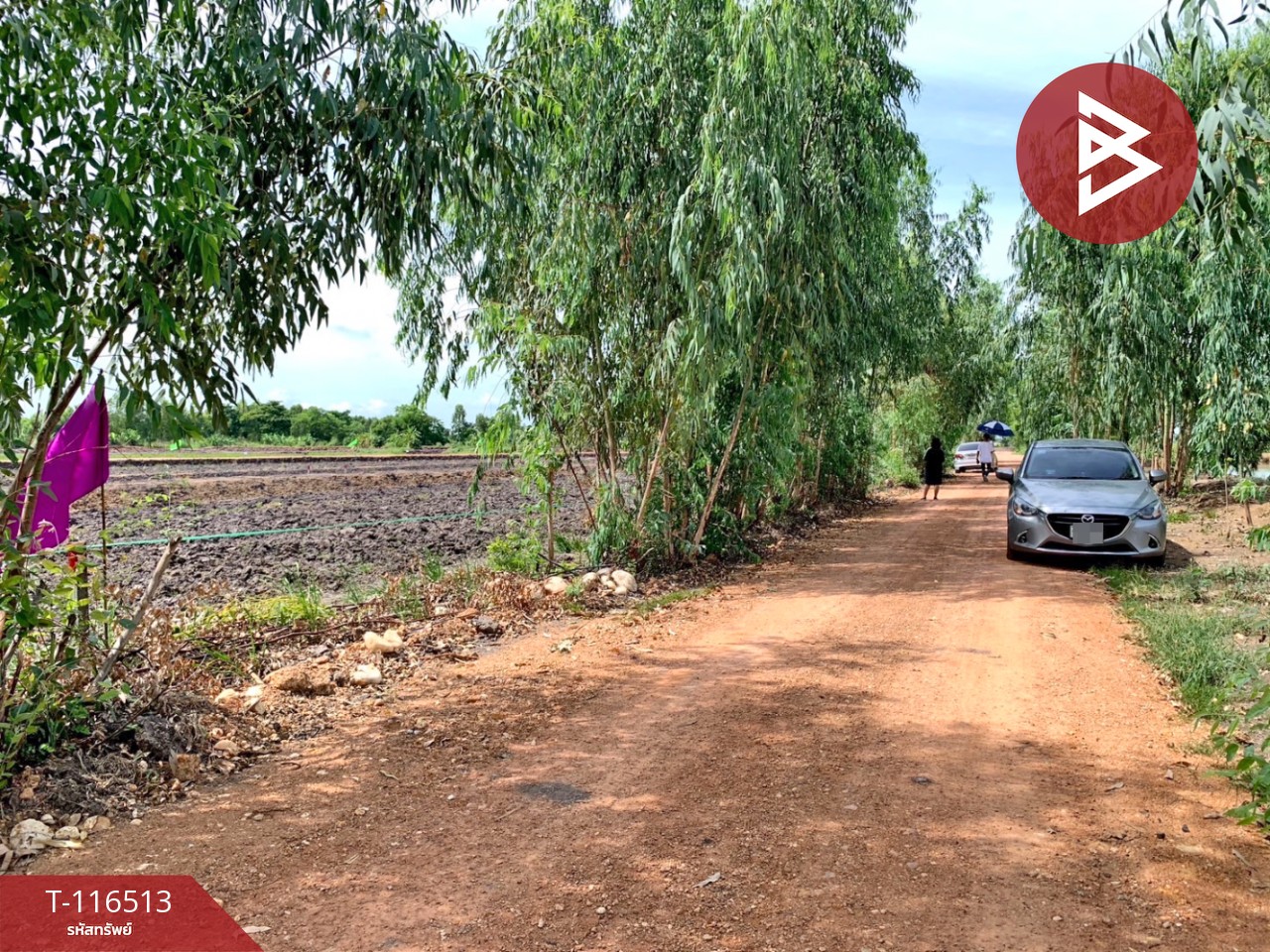 ขายที่ดิน เนื้อที่ 1 งาน 49 ตร.วา วังกระโจม นครนายก 7