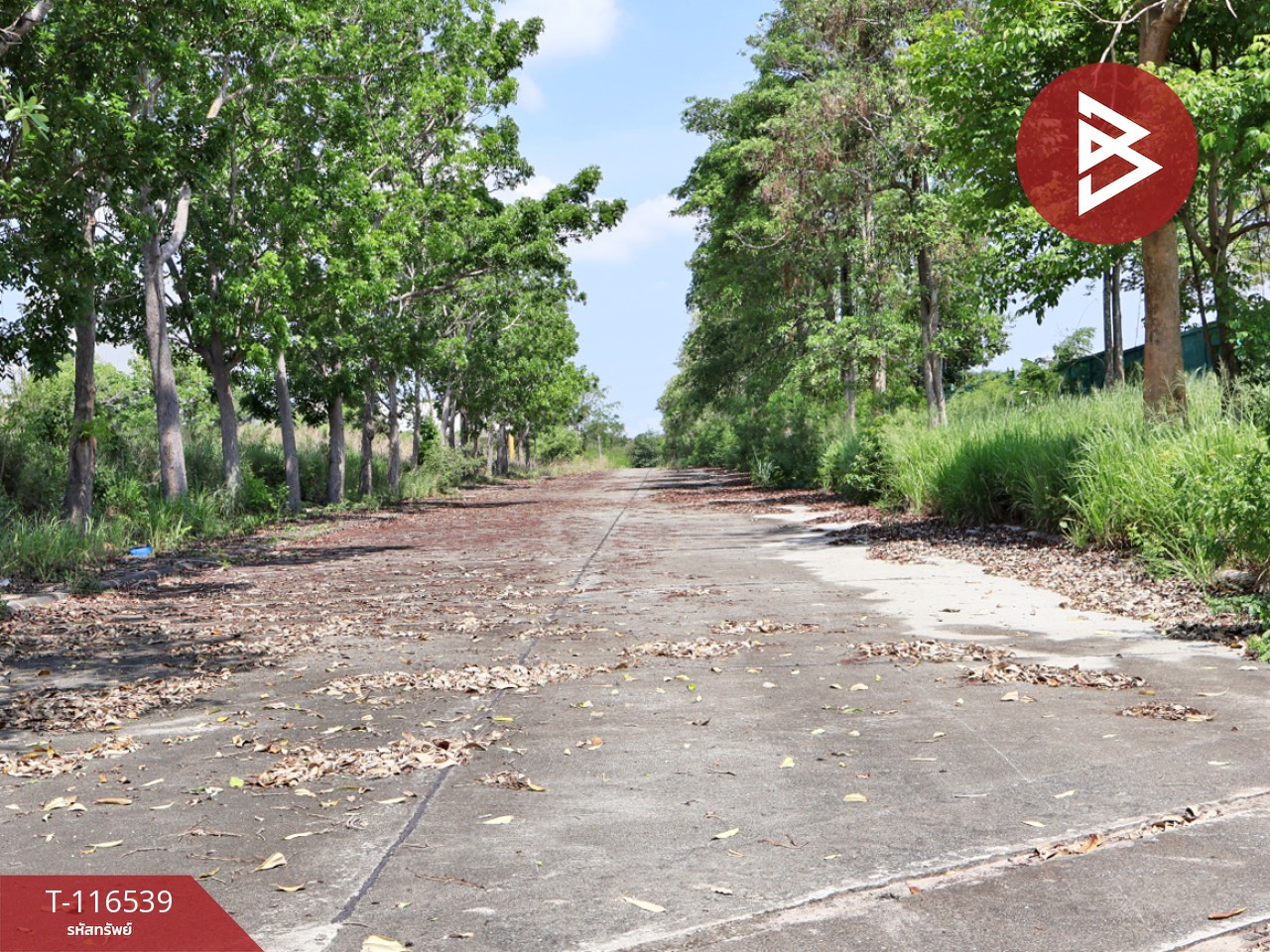 ขายโกดังพร้อมที่ดิน 98 ไร่ 2 งาน 90.6 ตร.วา นิคมพัฒนา ระยอง 13