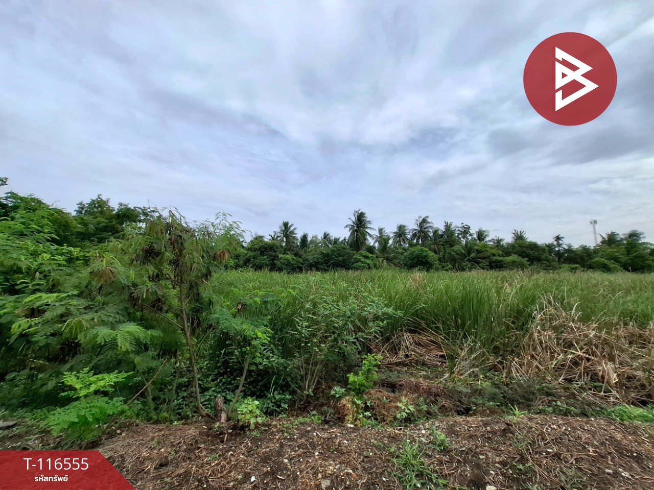 ขายที่ดิน เนื้อที่ 2 ไร่ บางเสาธง สมุทรปราการ 11