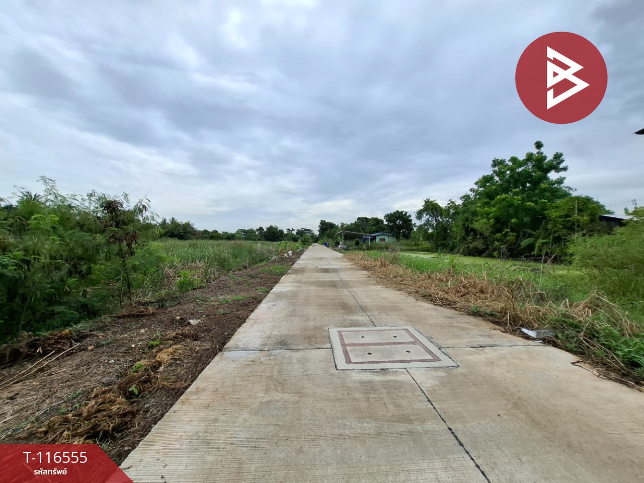 ขายที่ดิน เนื้อที่ 2 ไร่ บางเสาธง สมุทรปราการ 9