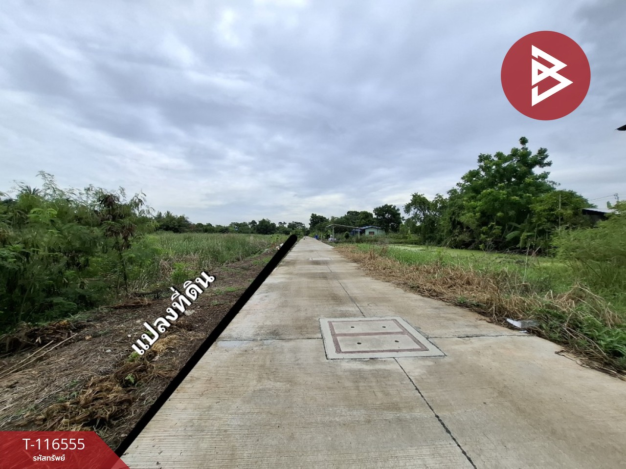 ขายที่ดิน เนื้อที่ 2 ไร่ บางเสาธง สมุทรปราการ 7