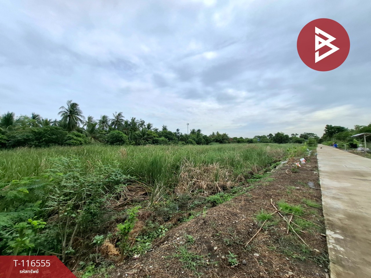 ขายที่ดิน เนื้อที่ 2 ไร่ บางเสาธง สมุทรปราการ 2