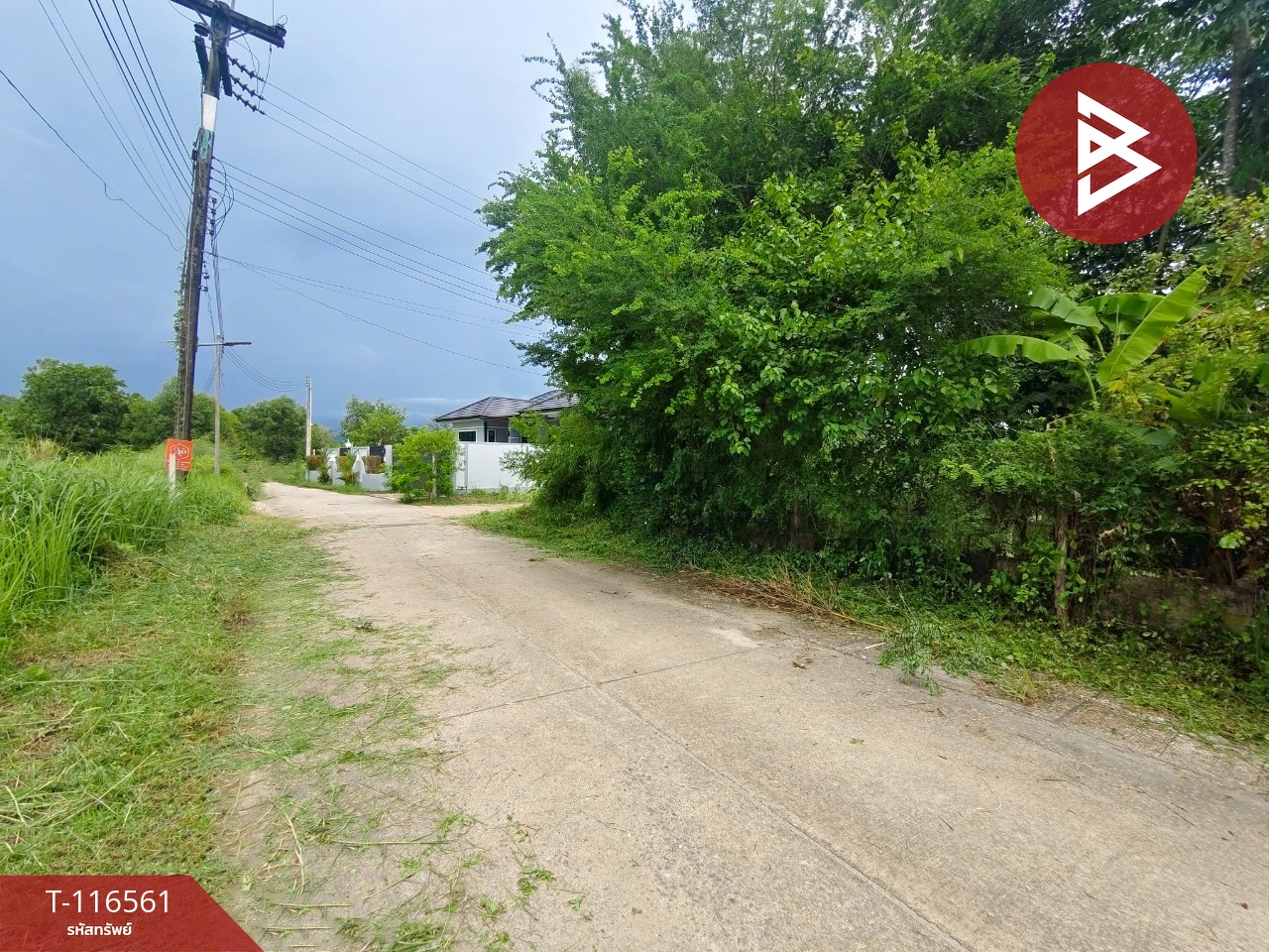 ขายที่ดิน เนื้อที่ 6 ไร่ 1 งาน 28.5 ตร.วา เกาะขวาง จันทบุรี 11