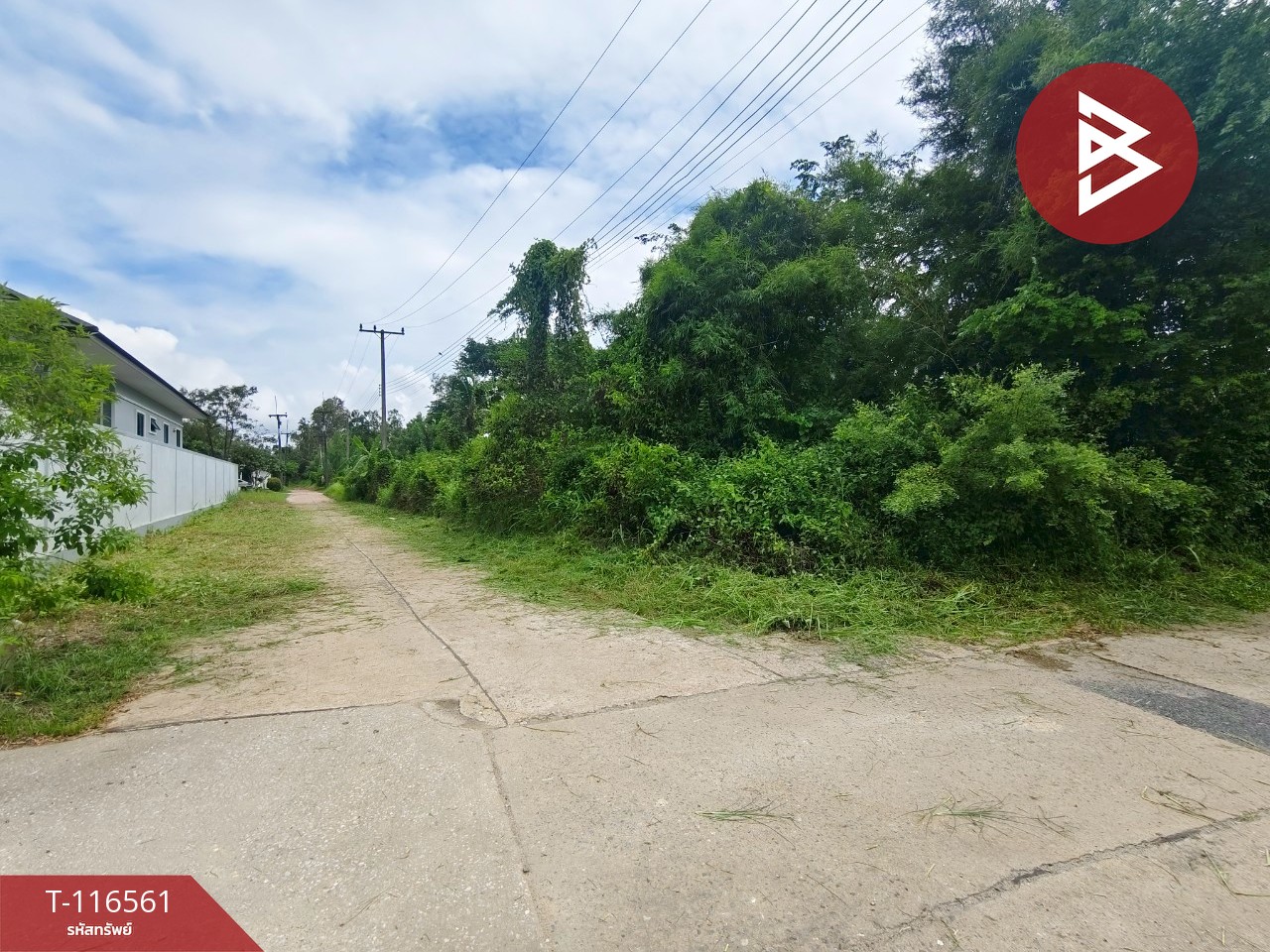 ขายที่ดิน เนื้อที่ 6 ไร่ 1 งาน 28.5 ตร.วา เกาะขวาง จันทบุรี 7