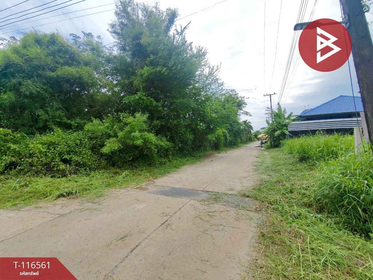 ขายที่ดิน เนื้อที่ 6 ไร่ 1 งาน 28.5 ตร.วา เกาะขวาง จันทบุรี 6