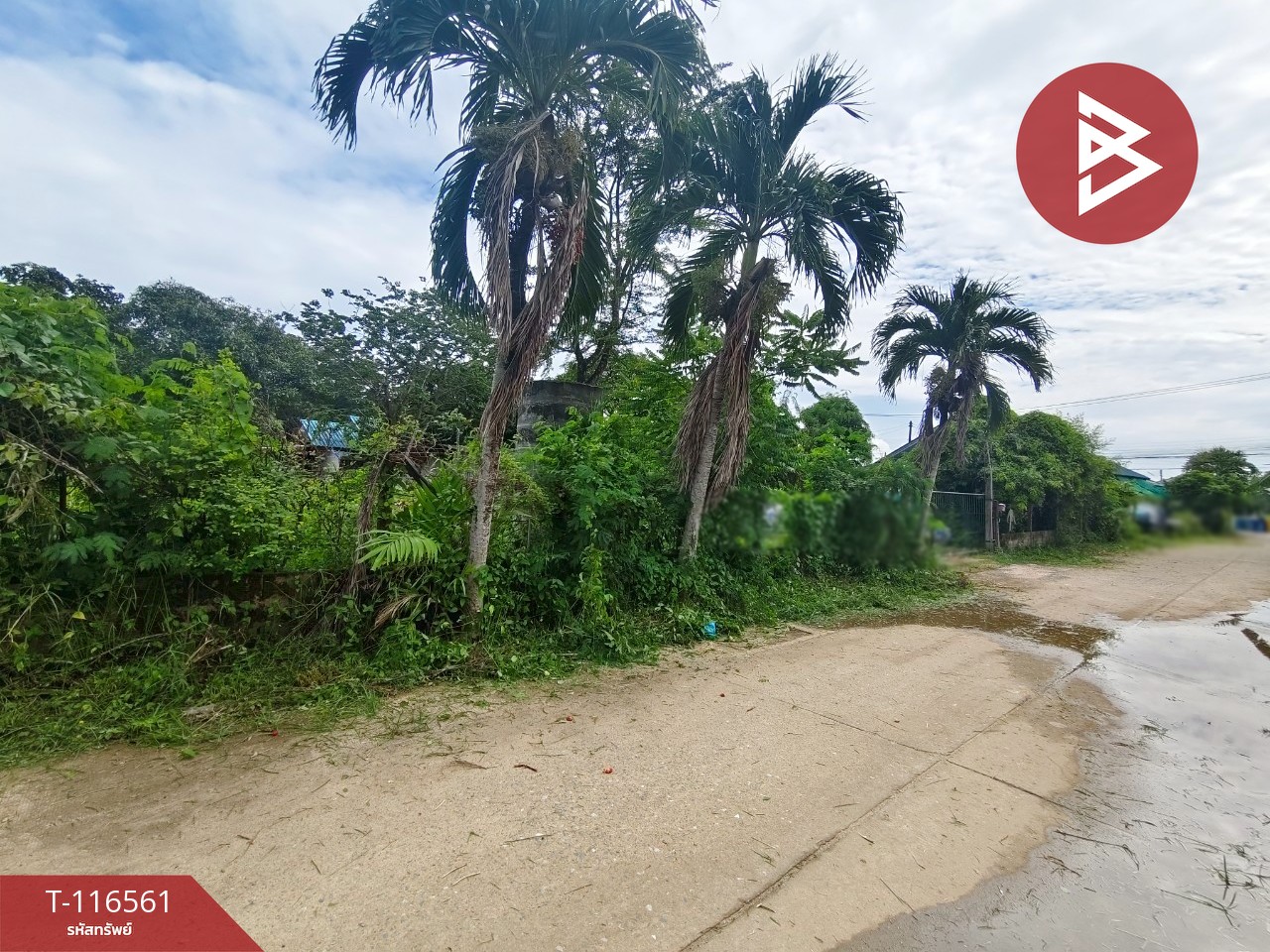 ขายที่ดิน เนื้อที่ 6 ไร่ 1 งาน 28.5 ตร.วา เกาะขวาง จันทบุรี 9