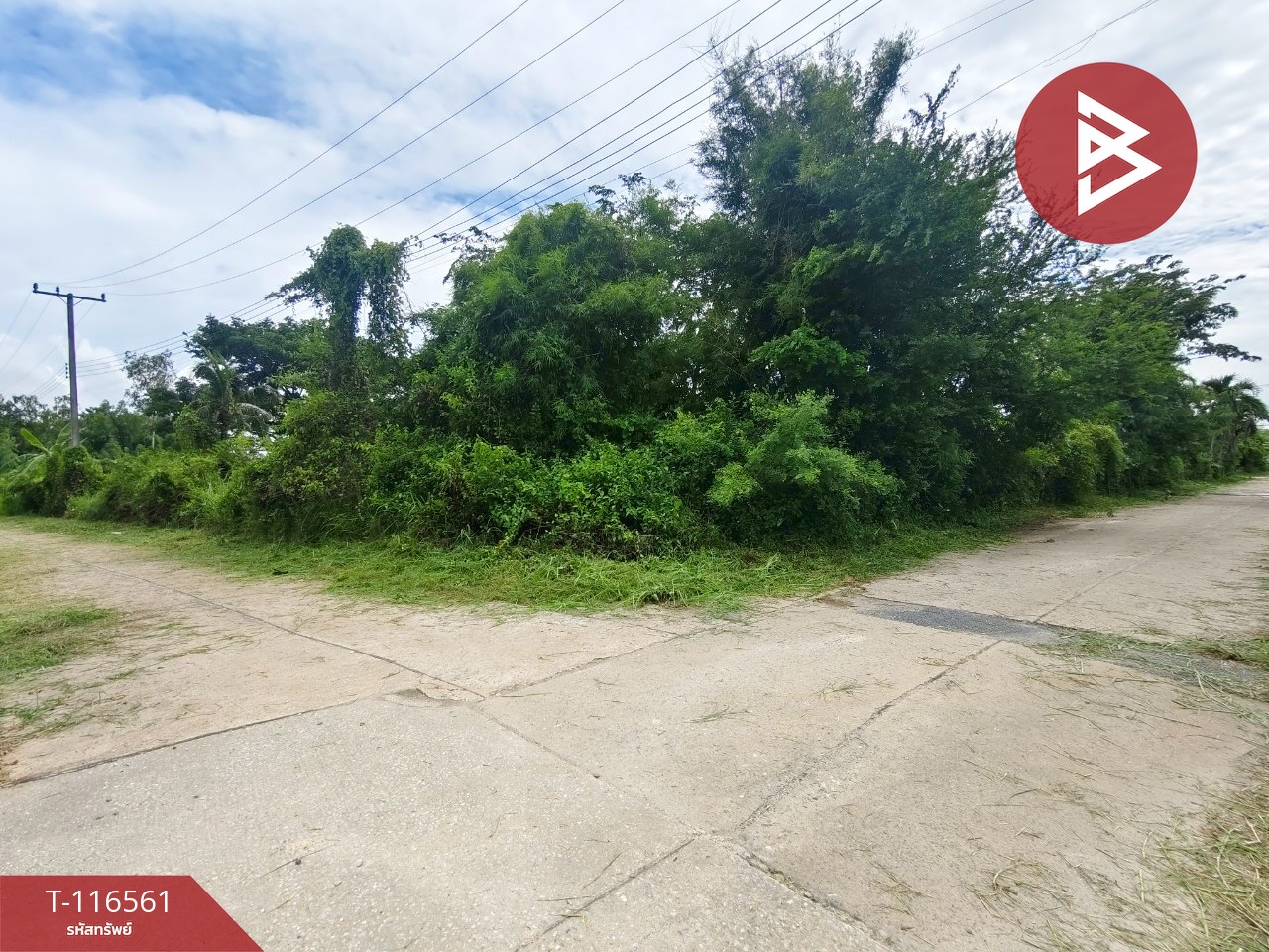 ขายที่ดิน เนื้อที่ 6 ไร่ 1 งาน 28.5 ตร.วา เกาะขวาง จันทบุรี 13