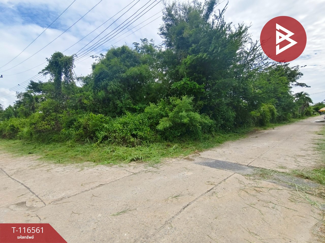 ขายที่ดิน เนื้อที่ 6 ไร่ 1 งาน 28.5 ตร.วา เกาะขวาง จันทบุรี 12