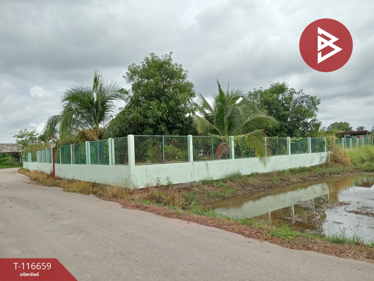 ขายที่ดินพร้อมสิ่งปลูกสร้าง เนื้อที่ 3 งาน 41 ตร.วา ชมพู ลำปาง 4