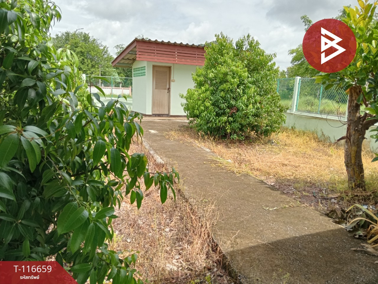 ขายที่ดินพร้อมสิ่งปลูกสร้าง เนื้อที่ 3 งาน 41 ตร.วา ชมพู ลำปาง 10