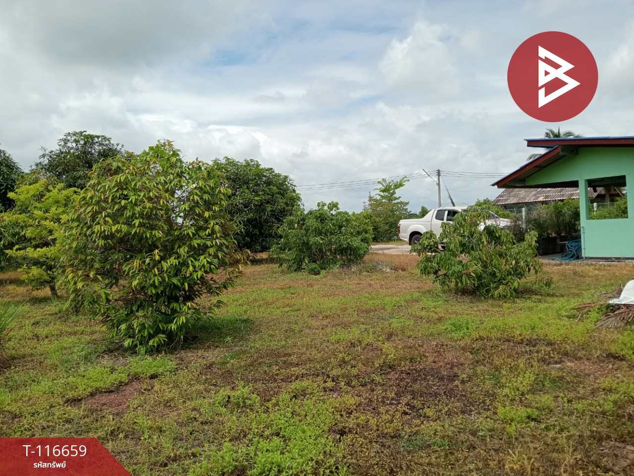 ขายที่ดินพร้อมสิ่งปลูกสร้าง เนื้อที่ 3 งาน 41 ตร.วา ชมพู ลำปาง 11