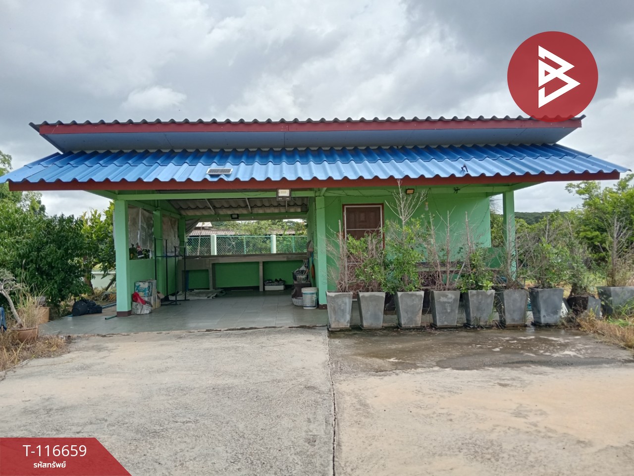 ขายที่ดินพร้อมสิ่งปลูกสร้าง เนื้อที่ 3 งาน 41 ตร.วา ชมพู ลำปาง 3