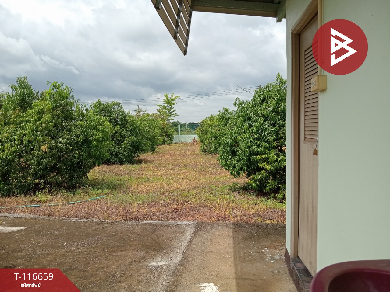 ขายที่ดินพร้อมสิ่งปลูกสร้าง เนื้อที่ 3 งาน 41 ตร.วา ชมพู ลำปาง 12