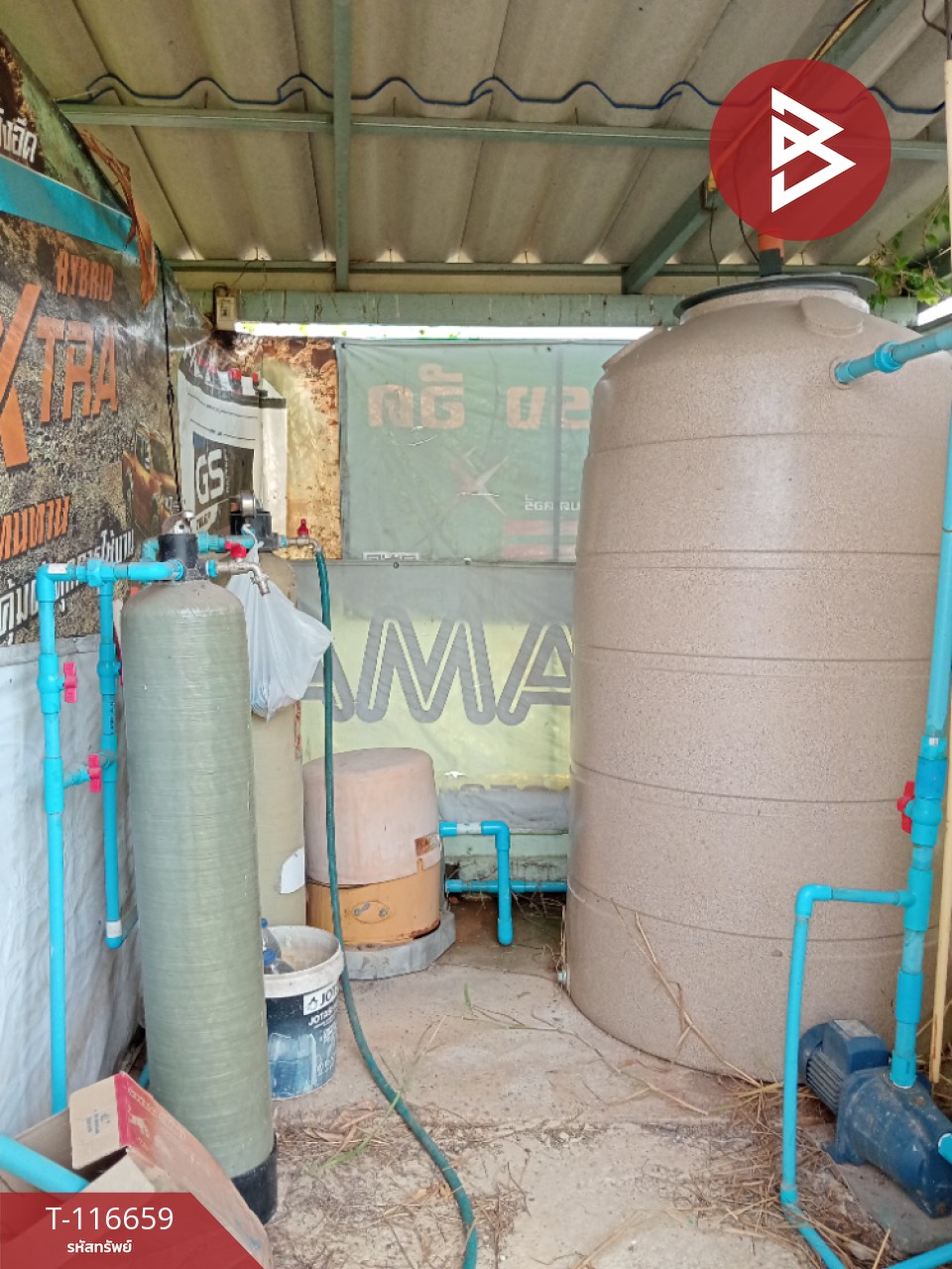 ขายที่ดินพร้อมสิ่งปลูกสร้าง เนื้อที่ 3 งาน 41 ตร.วา ชมพู ลำปาง 6