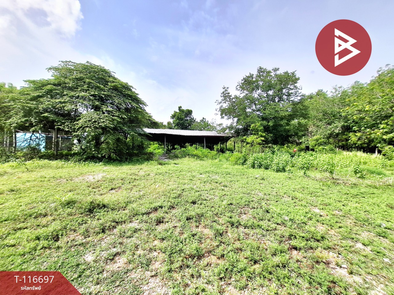 ขายที่ดิน เนื้อที่ 2 ไร่ 3 งาน 82 ตารางวา โพธิ์ชัย ร้อยเอ็ด 11