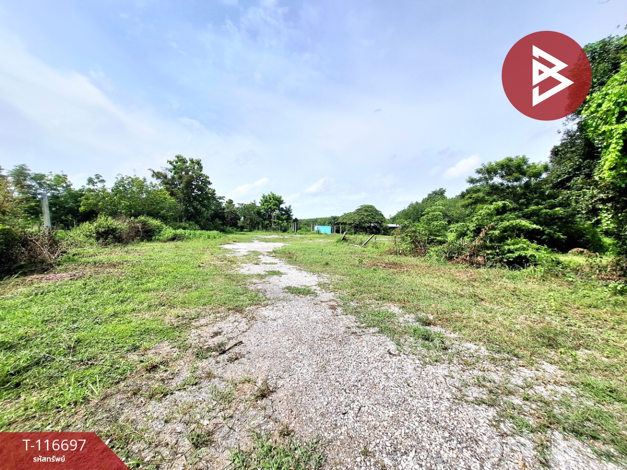 ขายที่ดิน เนื้อที่ 2 ไร่ 3 งาน 82 ตารางวา โพธิ์ชัย ร้อยเอ็ด 7