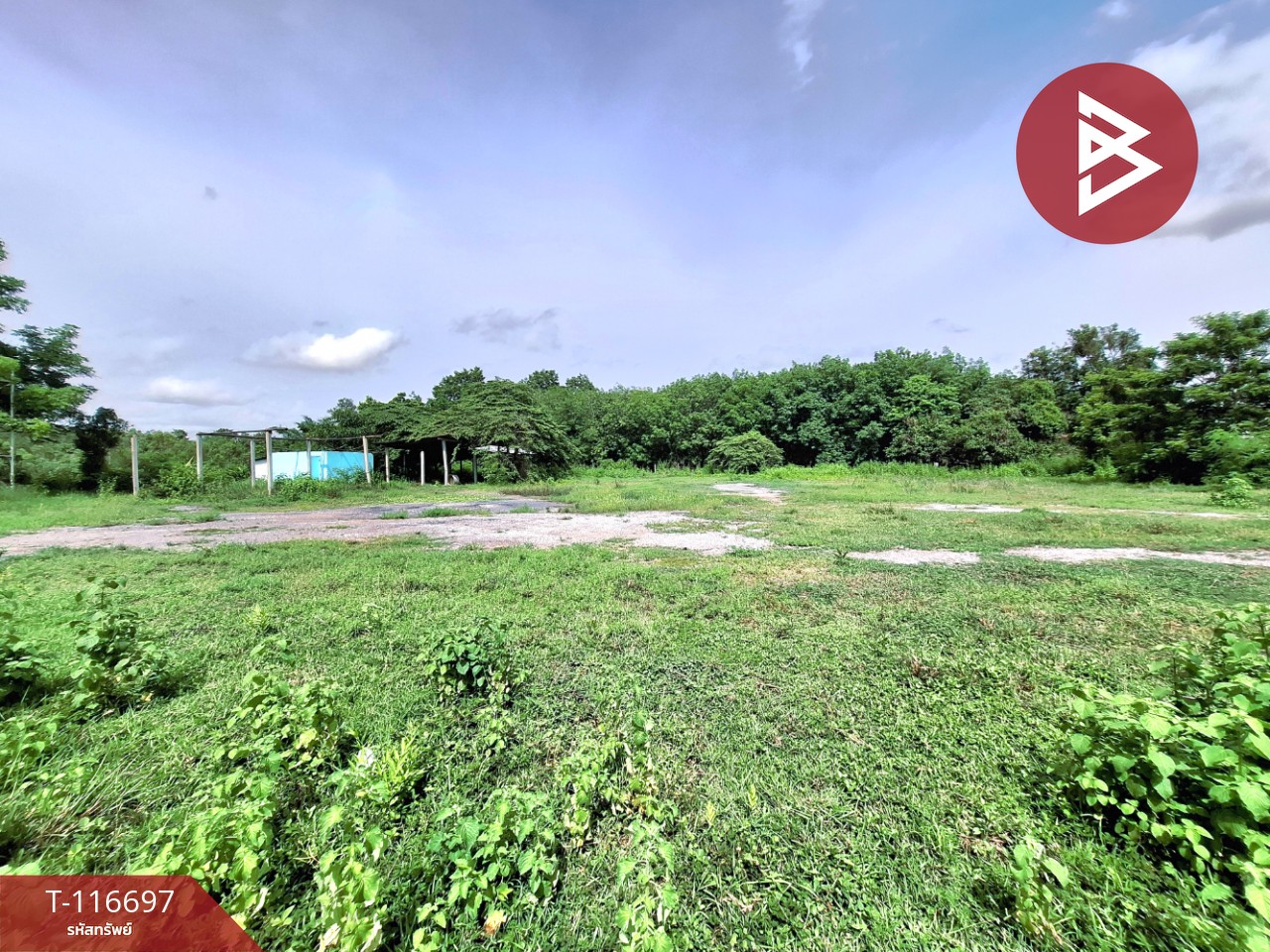 ขายที่ดิน เนื้อที่ 2 ไร่ 3 งาน 82 ตารางวา โพธิ์ชัย ร้อยเอ็ด 8