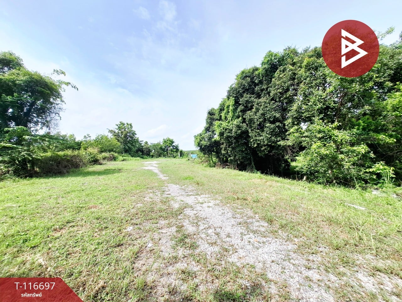 ขายที่ดิน เนื้อที่ 2 ไร่ 3 งาน 82 ตารางวา โพธิ์ชัย ร้อยเอ็ด 4