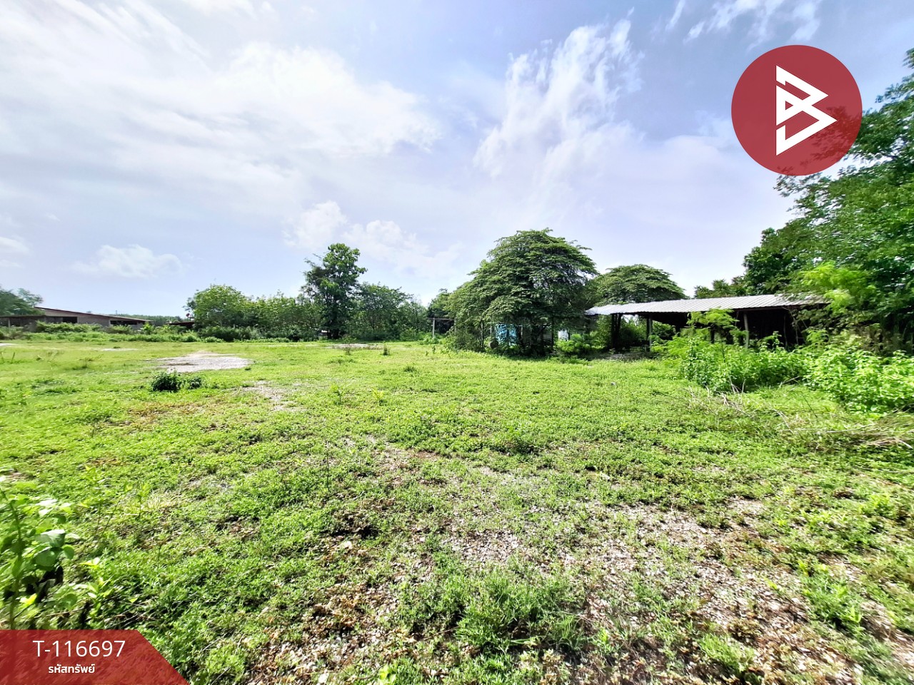 ขายที่ดิน เนื้อที่ 2 ไร่ 3 งาน 82 ตารางวา โพธิ์ชัย ร้อยเอ็ด 10