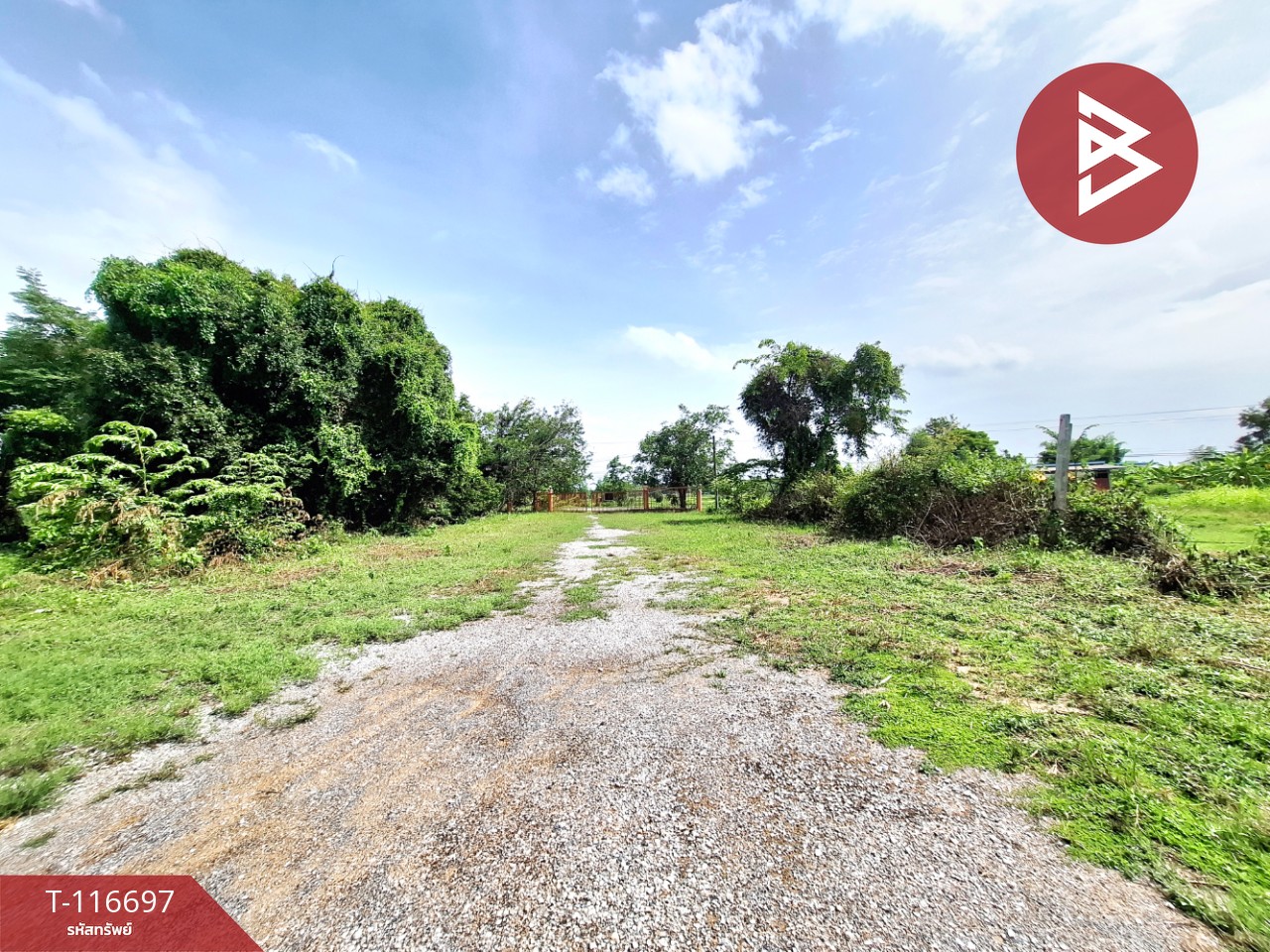 ขายที่ดิน เนื้อที่ 2 ไร่ 3 งาน 82 ตารางวา โพธิ์ชัย ร้อยเอ็ด 9