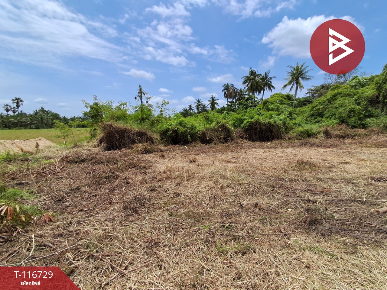 ขายที่ดิน เนื้อที่ 3 ไร่ 7 ตร.วา โพธาราม ราชบุรี 10